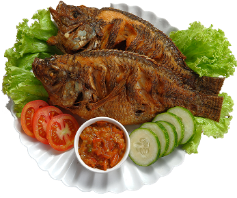 Port St Lucie restaurant offering delicious meals, great ambiance, and exceptional local dining experiences.